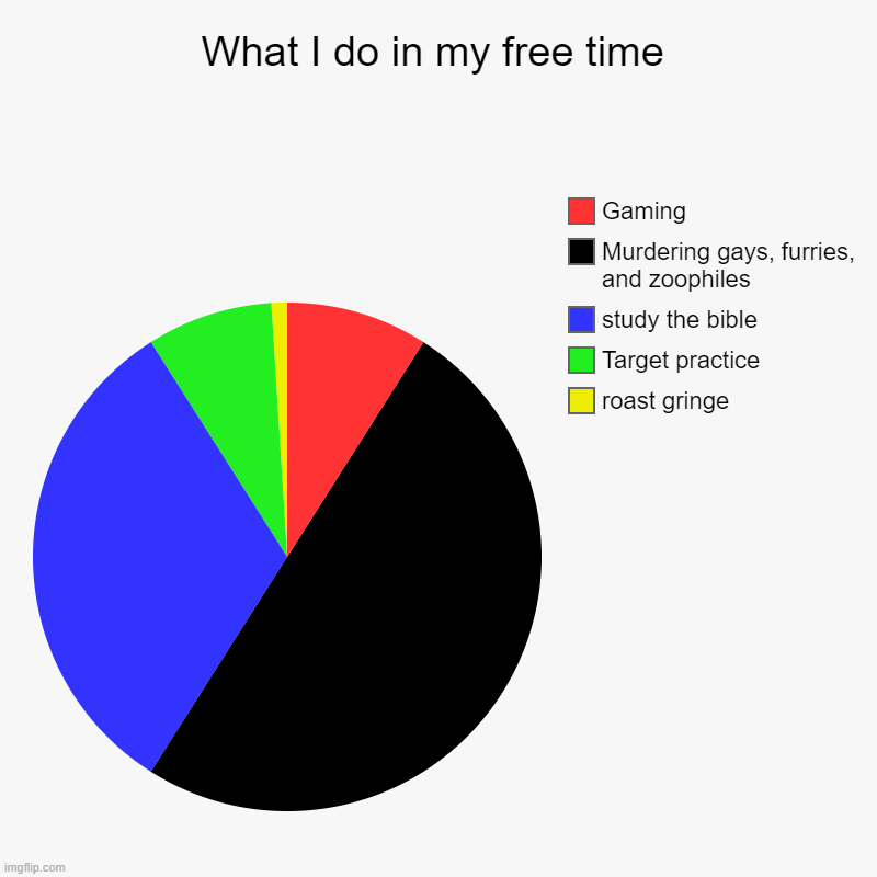 I DO NOT HAVE TIME TO ROAST | What I do in my free time | roast gringe, Target practice, study the bible, Murdering gays, furries, and zoophiles, Gaming | image tagged in charts,pie charts | made w/ Imgflip chart maker