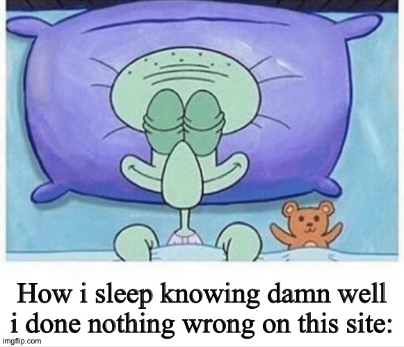 Squidward how i sleep | How i sleep knowing damn well i done nothing wrong on this site: | image tagged in squidward how i sleep | made w/ Imgflip meme maker