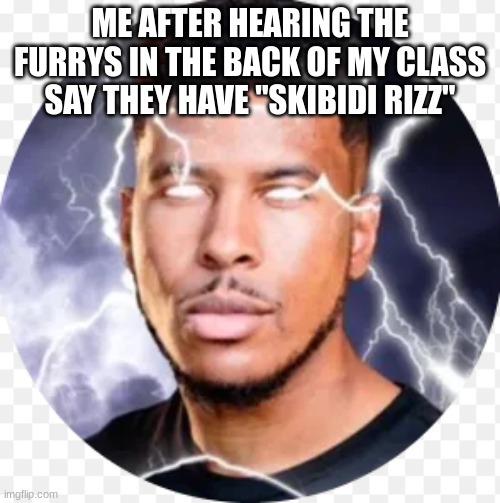 ME AFTER HEARING THE FURRYS IN THE BACK OF MY CLASS SAY THEY HAVE "SKIBIDI RIZZ" | image tagged in half baked | made w/ Imgflip meme maker