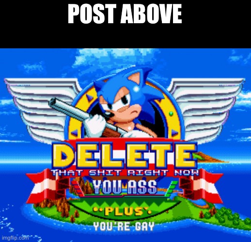 Sonic holding a shotgun to tell you to delete | POST ABOVE | image tagged in sonic holding a shotgun to tell you to delete | made w/ Imgflip meme maker