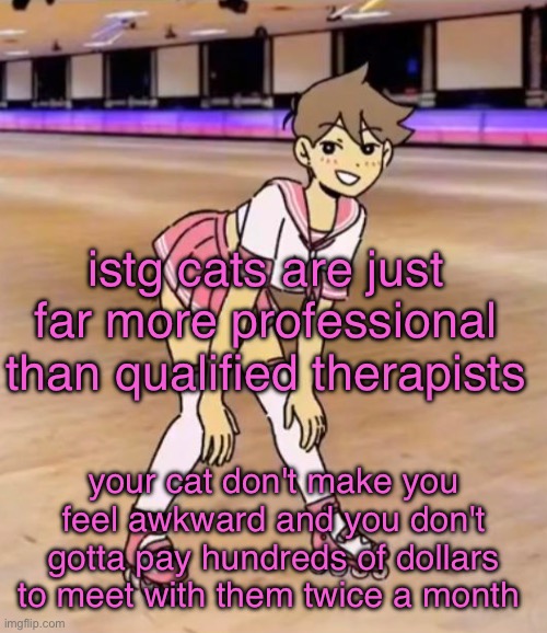 gayass (me) | istg cats are just far more professional than qualified therapists; your cat don't make you feel awkward and you don't gotta pay hundreds of dollars to meet with them twice a month | image tagged in gayass me | made w/ Imgflip meme maker