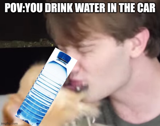 Doggo_No_Agree | POV:YOU DRINK WATER IN THE CAR | image tagged in doggo_no_agree | made w/ Imgflip meme maker