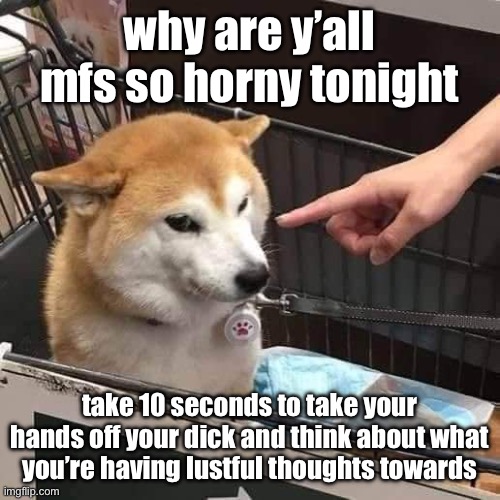 No horny | why are y’all mfs so horny tonight; take 10 seconds to take your hands off your dick and think about what you’re having lustful thoughts towards | image tagged in no horny | made w/ Imgflip meme maker