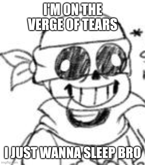 Derp | I'M ON THE VERGE OF TEARS; I JUST WANNA SLEEP BRO | image tagged in derp | made w/ Imgflip meme maker