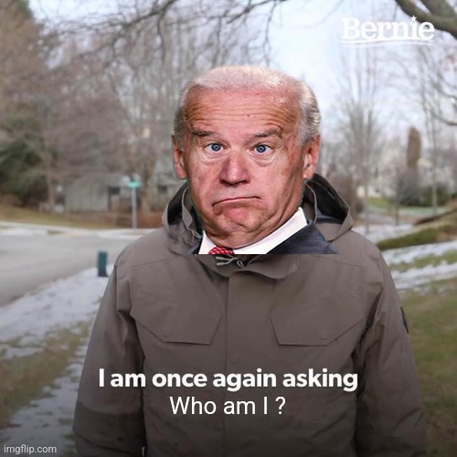 Bernie I Am Once Again Asking For Your Support | Who am I ? | image tagged in memes,bernie i am once again asking for your support | made w/ Imgflip meme maker