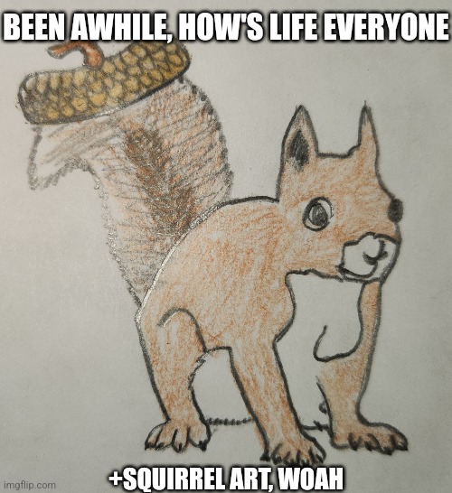 Squirl | BEEN AWHILE, HOW'S LIFE EVERYONE; +SQUIRREL ART, WOAH | made w/ Imgflip meme maker
