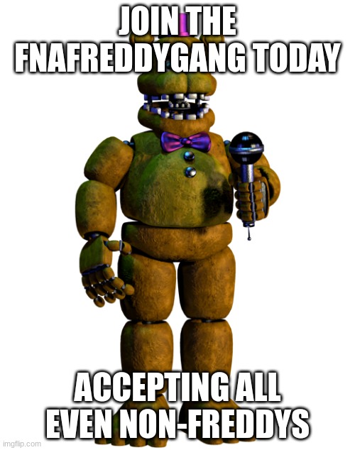 Join the fnafreddygang | JOIN THE FNAFREDDYGANG TODAY; ACCEPTING ALL EVEN NON-FREDDYS | image tagged in memes,fun,lol,fnaf,fnafreddygang | made w/ Imgflip meme maker