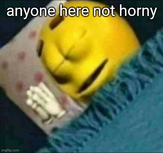 go to sleep | anyone here not horny | image tagged in go to sleep | made w/ Imgflip meme maker