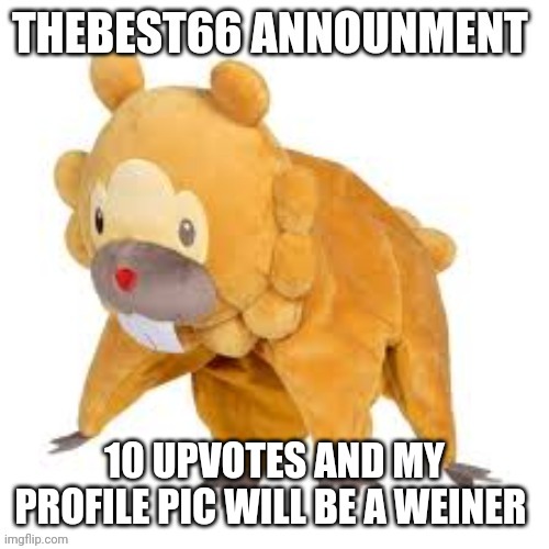 Please don't use | 10 UPVOTES AND MY PROFILE PIC WILL BE A WEINER | image tagged in please don't use | made w/ Imgflip meme maker