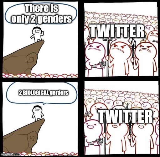 Twitter | There is only 2 genders; TWITTER; 2 BIOLOGICAL gerders; TWITTER | image tagged in angry crowd | made w/ Imgflip meme maker