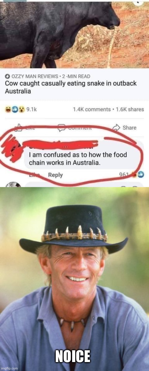 Snakes are food now | NOICE | image tagged in noice,snakes,food,carnivores,cows | made w/ Imgflip meme maker