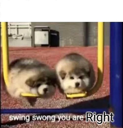 SWING SWONG YOU ARE WRONG | Right | image tagged in swing swong you are wrong | made w/ Imgflip meme maker