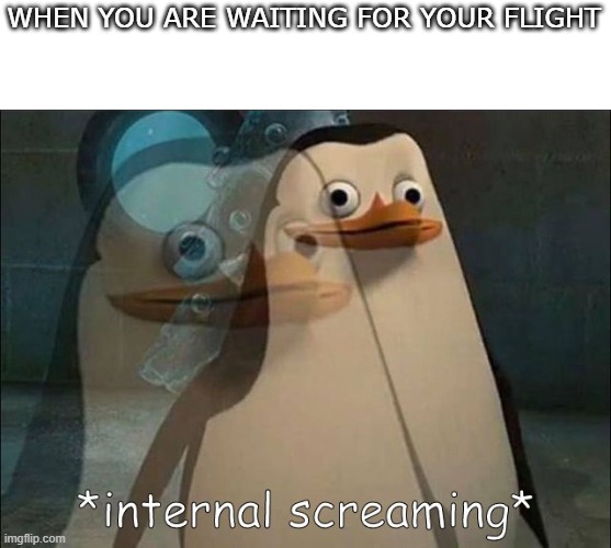 e | WHEN YOU ARE WAITING FOR YOUR FLIGHT | image tagged in private internal screaming | made w/ Imgflip meme maker