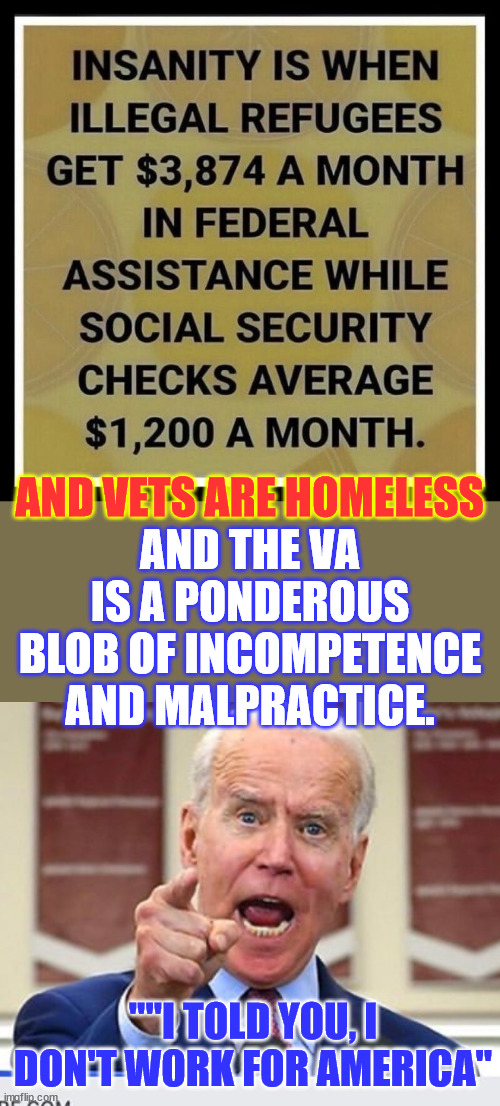 Yes... this is high treason... | AND THE VA IS A PONDEROUS BLOB OF INCOMPETENCE AND MALPRACTICE. AND VETS ARE HOMELESS; ""I TOLD YOU, I DON'T WORK FOR AMERICA" | image tagged in joe biden no malarkey,high treason,biden hates america,resolution,return to st croix | made w/ Imgflip meme maker