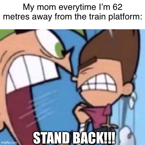 It happens literally everytime | My mom everytime I’m 62 metres away from the train platform:; STAND BACK!!! | image tagged in bruh,memes | made w/ Imgflip meme maker