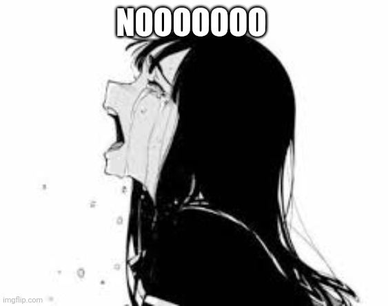 Crying Anime Girl | NOOOOOOO | image tagged in crying anime girl | made w/ Imgflip meme maker