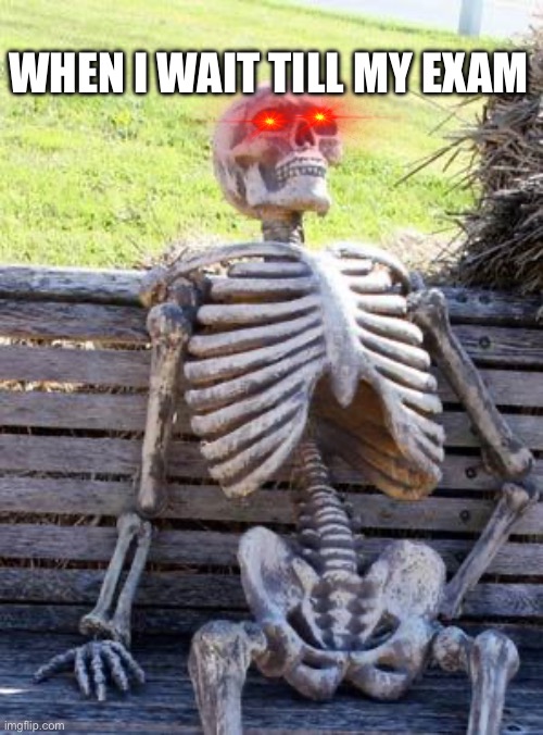 When I wait till my exam | WHEN I WAIT TILL MY EXAM | image tagged in memes,waiting skeleton | made w/ Imgflip meme maker