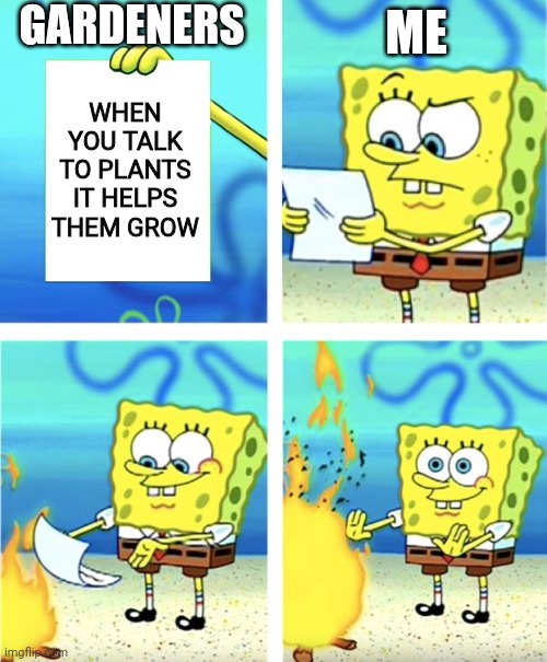 Spongebob Burning Paper | ME; GARDENERS; WHEN YOU TALK TO PLANTS IT HELPS THEM GROW | image tagged in spongebob burning paper | made w/ Imgflip meme maker