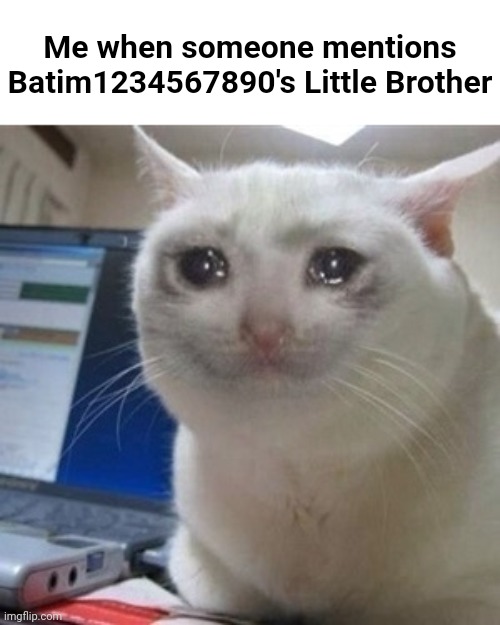This asshole named "Animévac" encouraged suicide. | Me when someone mentions Batim1234567890's Little Brother | image tagged in crying cat,memes,funny | made w/ Imgflip meme maker