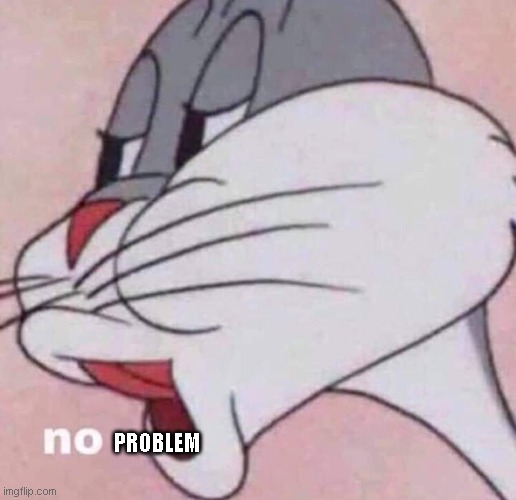 No | PROBLEM | image tagged in no | made w/ Imgflip meme maker
