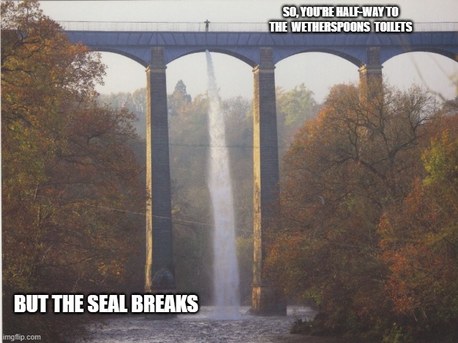 Broken Seal at Wetherspoons | SO, YOU'RE HALF-WAY TO THE  WETHERSPOONS  TOILETS; BUT THE SEAL BREAKS | image tagged in toilet humor | made w/ Imgflip meme maker