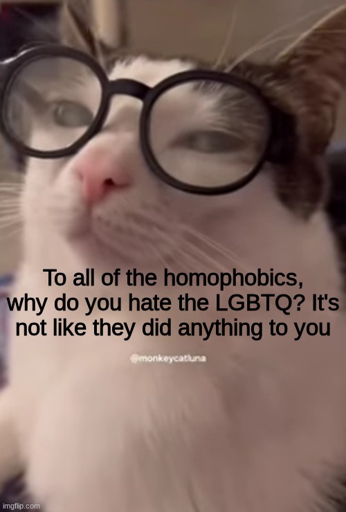 To all of the homophobics, why do you hate the LGBTQ? It's not like they did anything to you | made w/ Imgflip meme maker