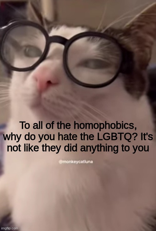 I understand if this gets unapproved but yuh | To all of the homophobics, why do you hate the LGBTQ? It's not like they did anything to you | image tagged in shitpost,lgbtq,oh wow are you actually reading these tags | made w/ Imgflip meme maker