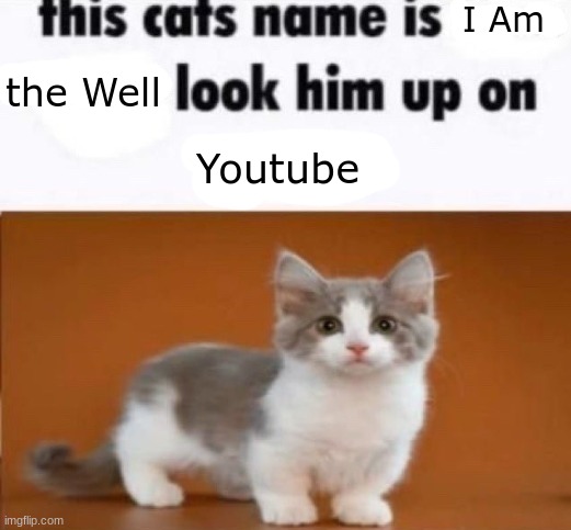 this cats name is x look him up on google | I Am; the Well; Youtube | image tagged in this cats name is x look him up on google | made w/ Imgflip meme maker