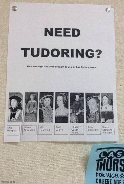 Tudors | image tagged in bad pun | made w/ Imgflip meme maker