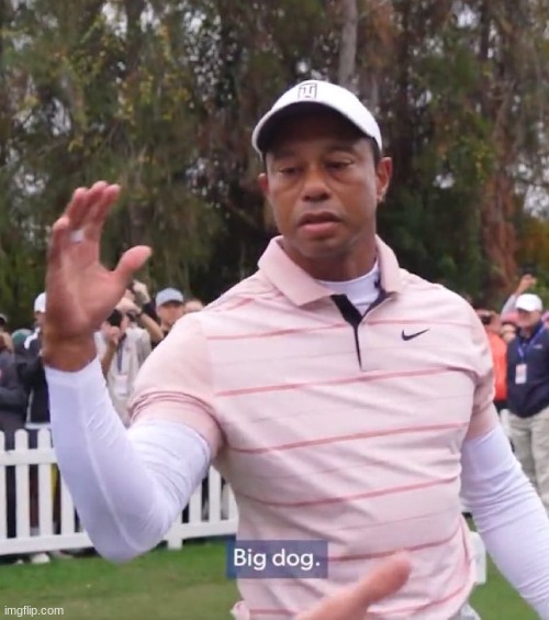 Should old acquaintance be forgot | image tagged in tiger woods - big dog | made w/ Imgflip meme maker