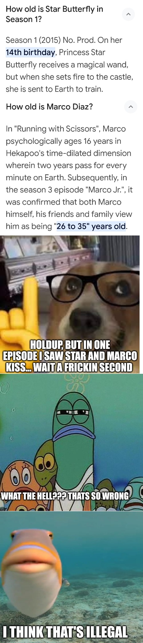 No. No. NO. STOP. THIS IS WRONG. FIX THIS IMMEDIATELY. | HOLDUP, BUT IN ONE EPISODE I SAW STAR AND MARCO KISS... WAIT A FRICKIN SECOND; WHAT THE HELL??? THATS SO WRONG; I THINK THAT'S ILLEGAL | made w/ Imgflip meme maker