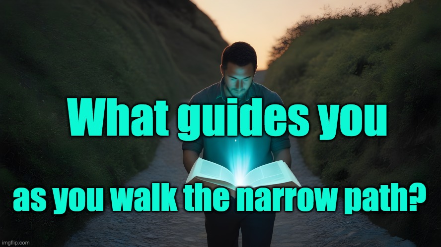 Narrow Path Guide | What guides you; as you walk the narrow path? | image tagged in narrow path,guide,bible,christianity,faithful,reading | made w/ Imgflip meme maker