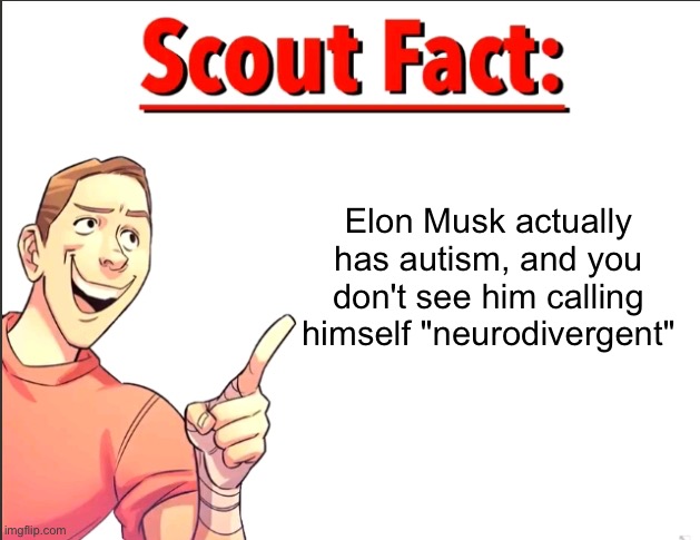 Scout Fact | Elon Musk actually has autism, and you don't see him calling himself "neurodivergent" | image tagged in scout fact | made w/ Imgflip meme maker