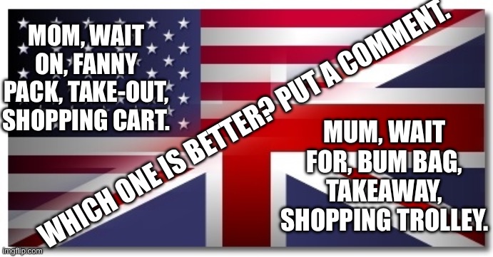 American vs British (friendly) | MOM, WAIT ON, FANNY PACK, TAKE-OUT, SHOPPING CART. MUM, WAIT FOR, BUM BAG, TAKEAWAY, SHOPPING TROLLEY. WHICH ONE IS BETTER? PUT A COMMENT. | image tagged in american vs british friendly | made w/ Imgflip meme maker