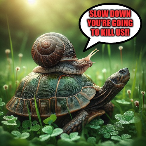 Slow down! | SLOW DOWN YOU'RE GOING TO KILL US!! | image tagged in too damn fast,snail,turtle | made w/ Imgflip meme maker