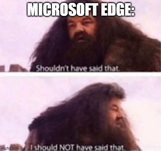 Shouldn't have said that | MICROSOFT EDGE: | image tagged in shouldn't have said that | made w/ Imgflip meme maker