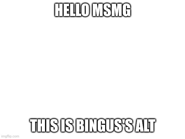 HELLO MSMG; THIS IS BINGUS'S ALT | made w/ Imgflip meme maker