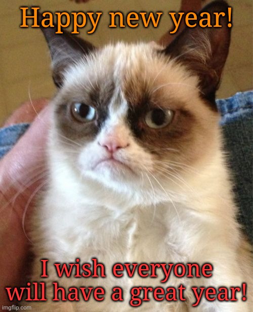 See you in 2024 *disappears* | Happy new year! I wish everyone will have a great year! | image tagged in memes,grumpy cat,2024,happy new year,goodbye,yay | made w/ Imgflip meme maker
