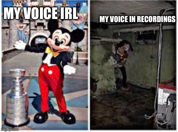 mickey mouse in disneyland | MY VOICE IN RECORDINGS; MY VOICE IRL | image tagged in mickey mouse in disneyland | made w/ Imgflip meme maker