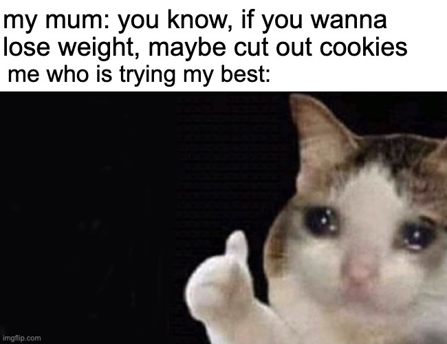 whyy mum | my mum: you know, if you wanna lose weight, maybe cut out cookies; me who is trying my best: | image tagged in crying cat thumbs up | made w/ Imgflip meme maker