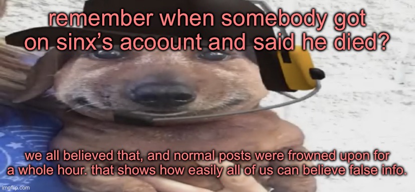 i mean i’m not immune to it, i believed it too | remember when somebody got on sinx’s acoount and said he died? we all believed that, and normal posts were frowned upon for a whole hour. that shows how easily all of us can believe false info. | image tagged in chucklenuts | made w/ Imgflip meme maker