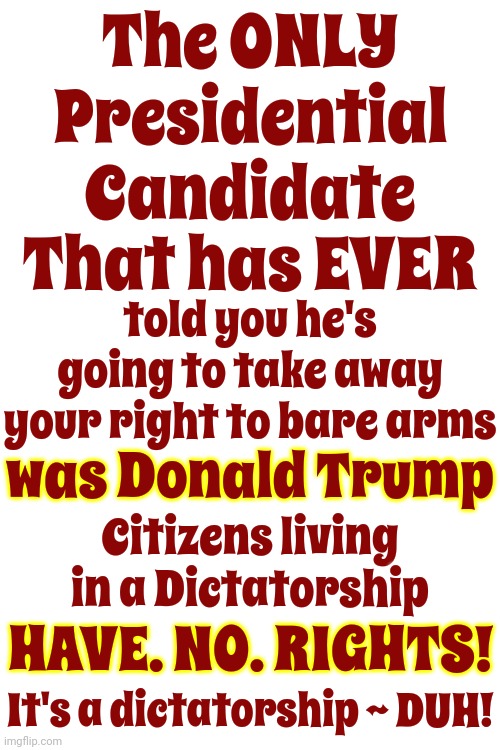 Careful What You Wish For Because It Might Be A Con | The ONLY Presidential Candidate; That has EVER; told you he's going to take away your right to bare arms; was Donald Trump; Citizens living in a Dictatorship; HAVE. NO. RIGHTS! It's a dictatorship ~ DUH! | image tagged in scumbag trump,scumbag maga,scumbag republicans,lock him up,trump lies,memes | made w/ Imgflip meme maker