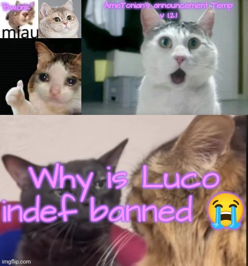 AmeTonian's announcement Temp v 1.2.1 | Why is Luco indef banned 😭 | image tagged in ametonian's announcement temp v 1 2 1 | made w/ Imgflip meme maker