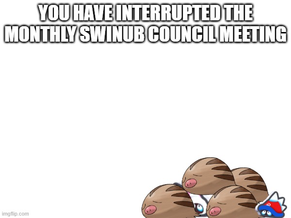 Idk man | YOU HAVE INTERRUPTED THE MONTHLY SWINUB COUNCIL MEETING | made w/ Imgflip meme maker