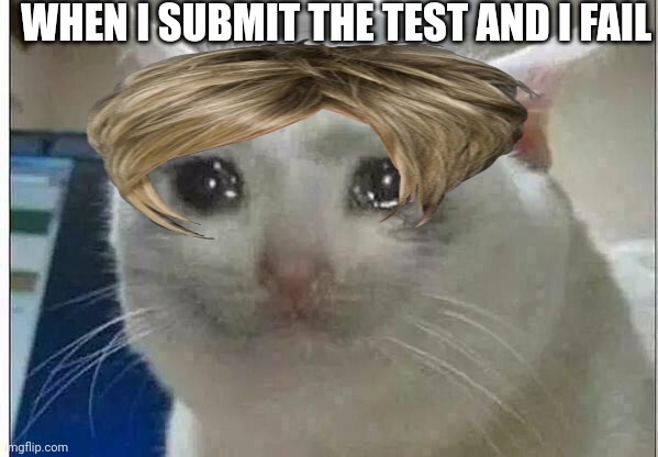 Sad | WHEN I SUBMIT THE TEST AND I FAIL | image tagged in crying cat | made w/ Imgflip meme maker
