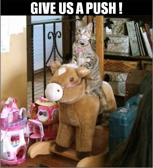 Cat On A Rocking Horse | GIVE US A PUSH ! | image tagged in cats,rocking horse,push | made w/ Imgflip meme maker