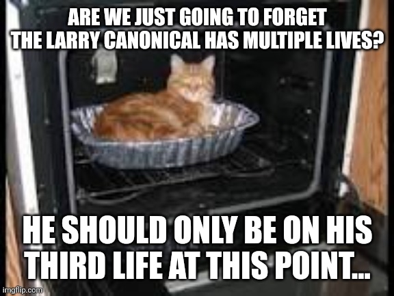 Cat in oven | ARE WE JUST GOING TO FORGET THE LARRY CANONICAL HAS MULTIPLE LIVES? HE SHOULD ONLY BE ON HIS THIRD LIFE AT THIS POINT... | image tagged in cat in oven | made w/ Imgflip meme maker