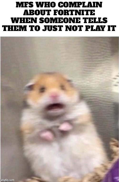 Scared Hamster | MFS WHO COMPLAIN ABOUT FORTNITE WHEN SOMEONE TELLS THEM TO JUST NOT PLAY IT | image tagged in scared hamster | made w/ Imgflip meme maker