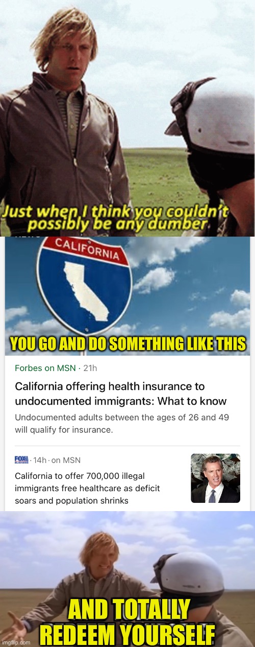 sooooo dumb | YOU GO AND DO SOMETHING LIKE THIS; AND TOTALLY REDEEM YOURSELF | image tagged in dumb and dumber,politics,meme,california | made w/ Imgflip meme maker