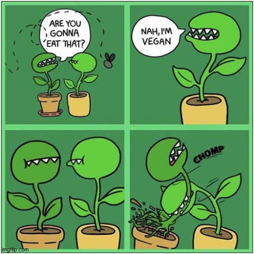 Beware Of Vegans ! | image tagged in vegans,plants,dark humour | made w/ Imgflip meme maker